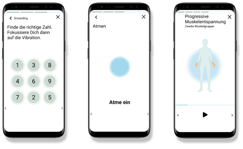 Mehrere Mobiltelefone nebeneinander mit verschiedenen Screenshots der App